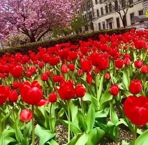 Meet your Posher, Debora